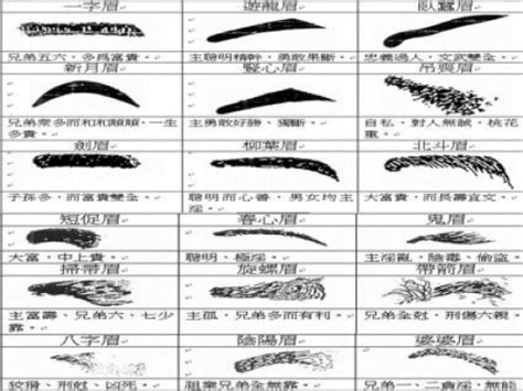 眉頭散|從眉毛看一個人的健康、財運、個性、愛情…太準了！。